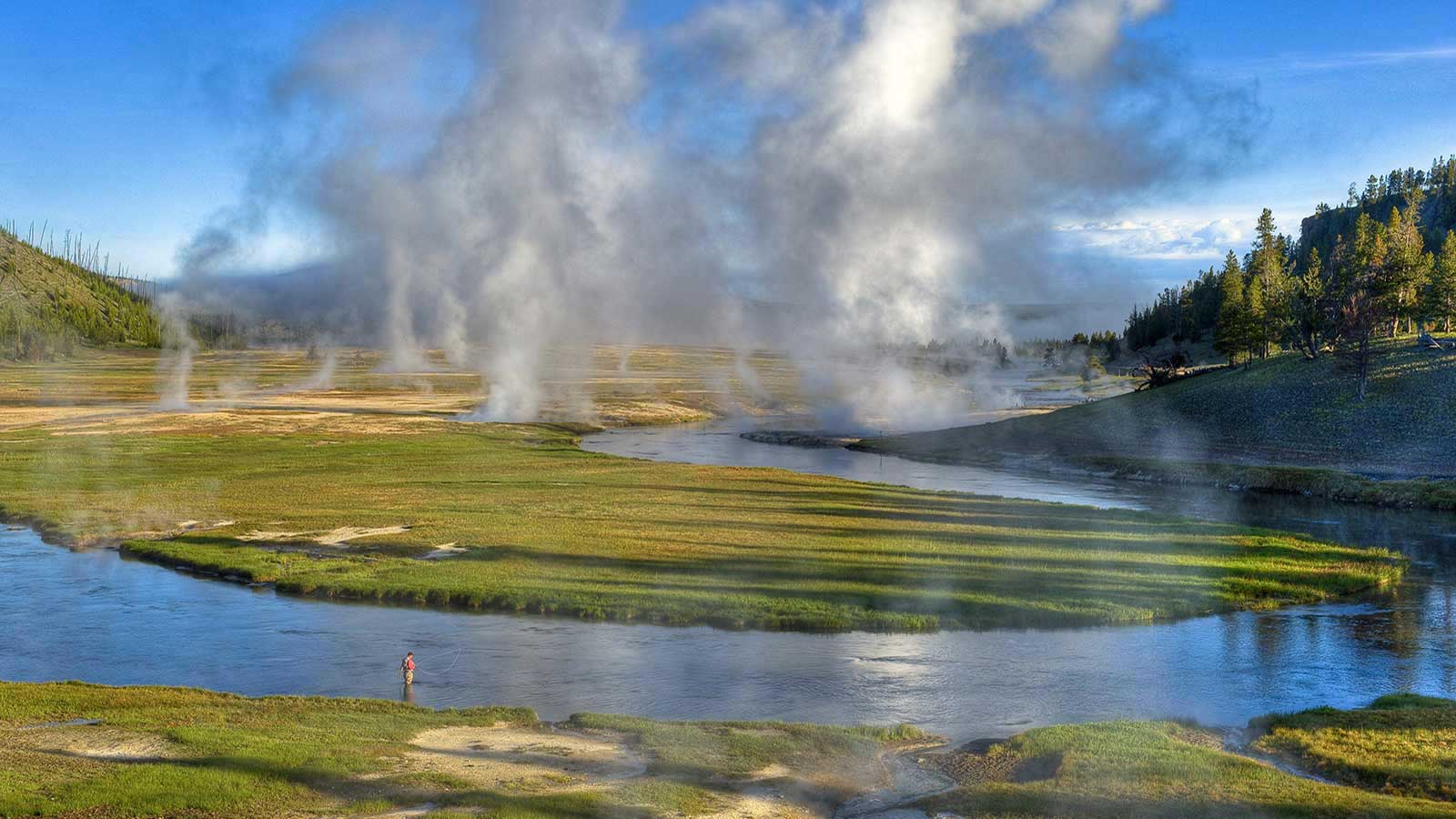 Image result for yellowstone 